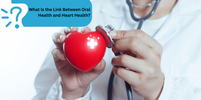 Doctor holding red heart with stethoscope, illustrating oral health's connection to cardiovascular wellness.